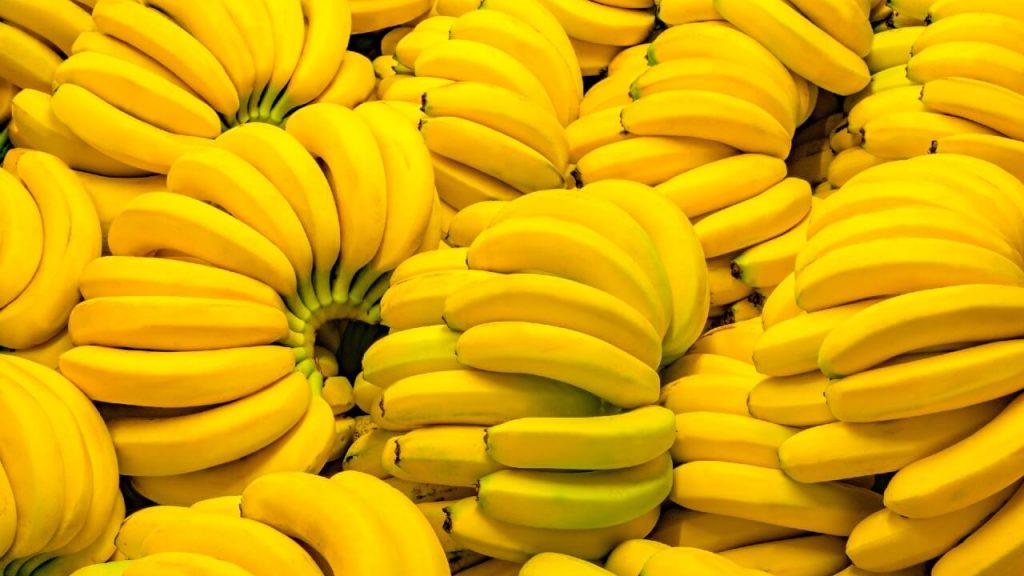 Uma banana por dia pode prevenir casos hereditários de câncer