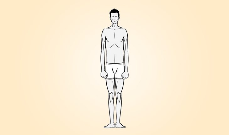 ilustração do biotipo de um ectomorfo