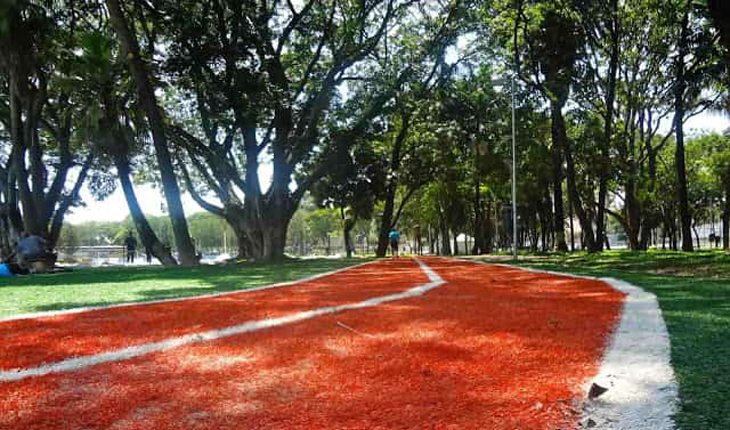 pistas de corrida em são paulo