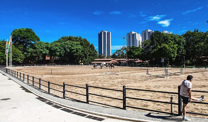 pistas de corrida em são paulo