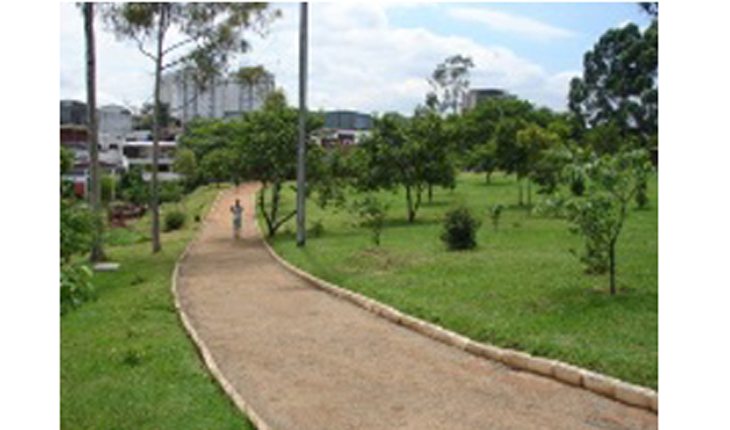 pistas de corrida em são paulo