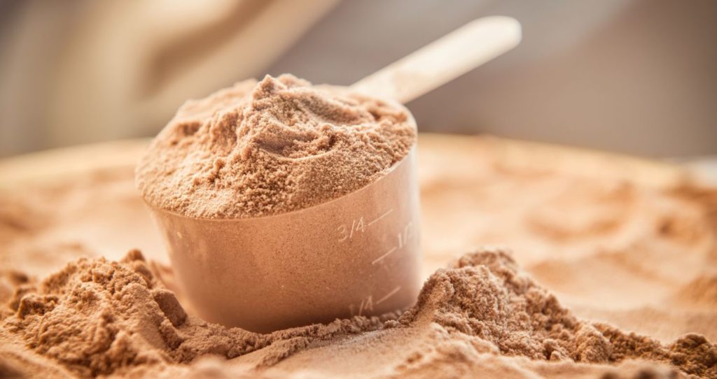 curiosidades sobre o whey protein