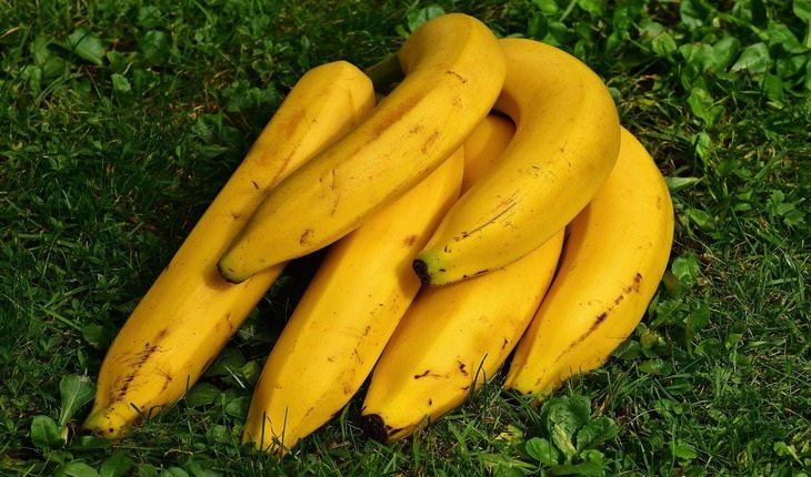 cacho de bananas em um gramado Dia Mundial do coração