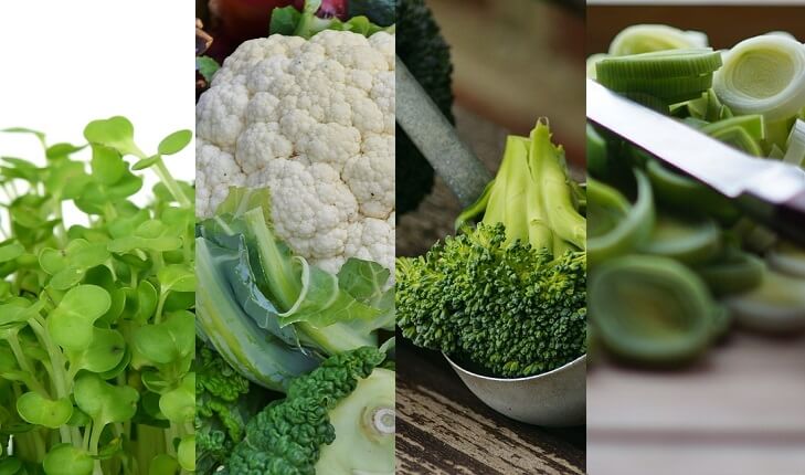 Agrião, couve-flor, brócolis e alho poró. Frutas, legumes e verduras da época.