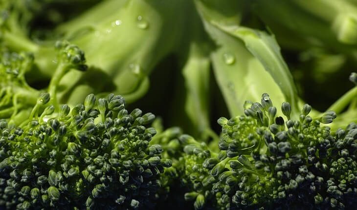 Brócolis. Benefícios da luteína