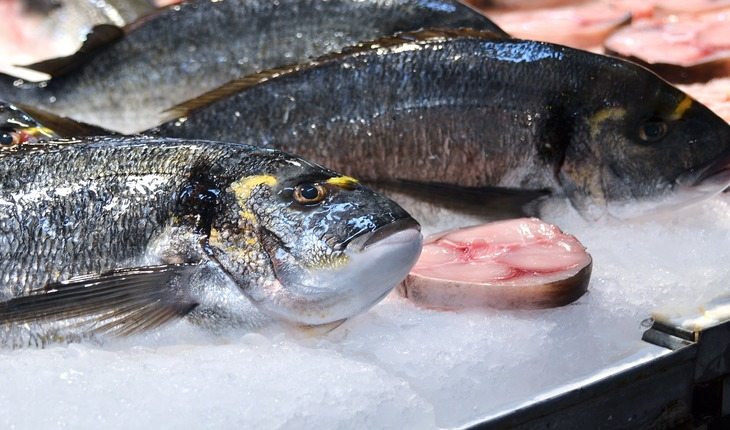 peixes em no gelo. Receitas saudáveis de peixe