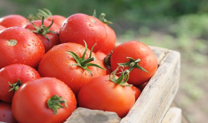 foto de tomates dispostos em uma caixa