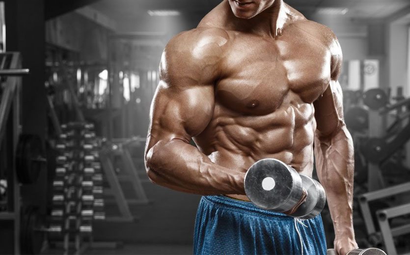 Cutting e bulking: o significado desses termos do fisiculturismo