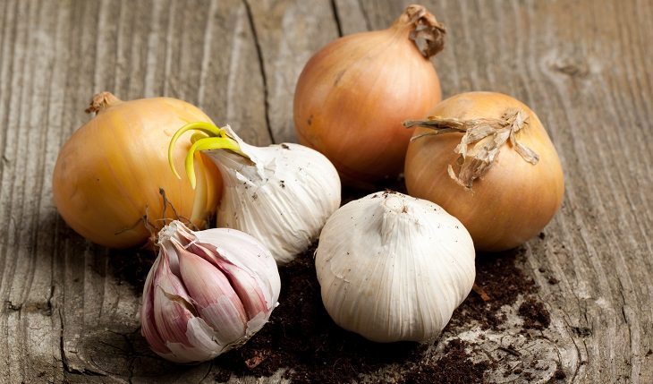 Relação entre alimentação e rinite. Na foto, dentes de alho e cebolas