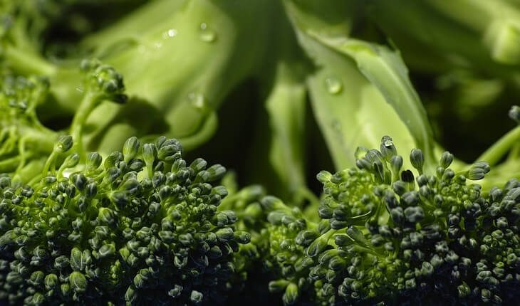 Relação entre alimentação e rinite. Na foto, um brócolis