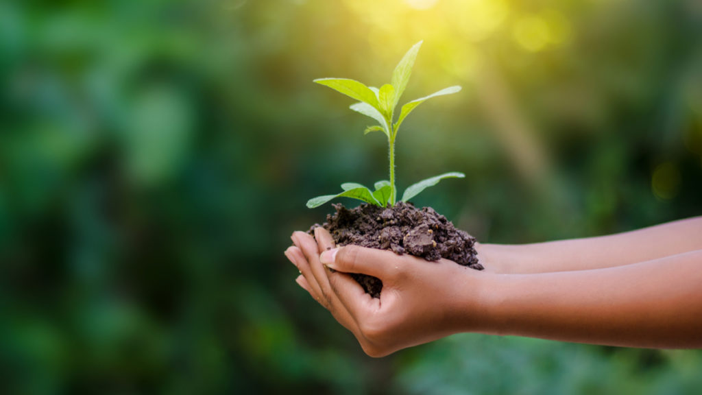10 mandamentos para ajudar a Terra no Dia do Meio Ambiente