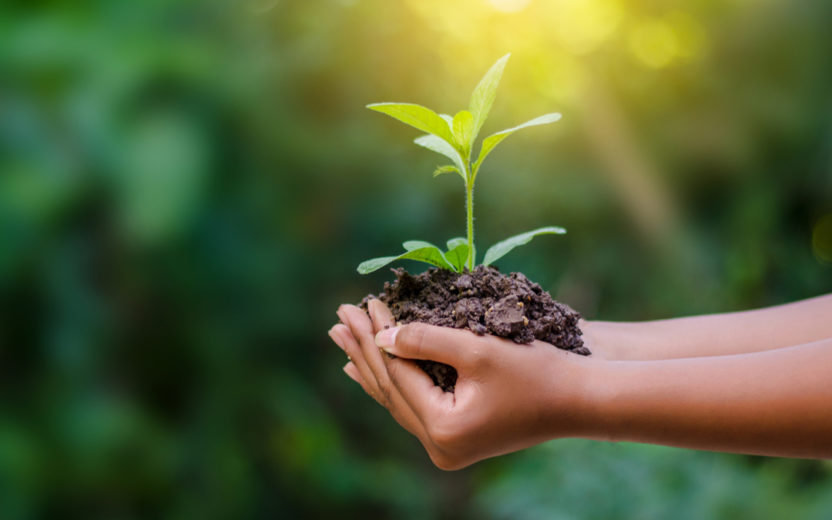 10 mandamentos para ajudar a Terra no Dia do Meio Ambiente