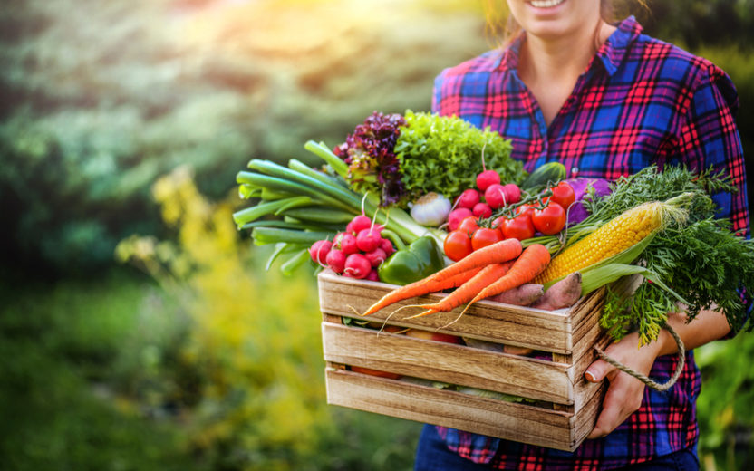Pandemia aumenta o consumo de ingredientes frescos
