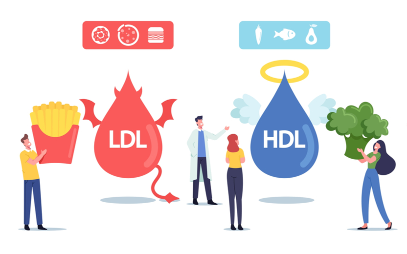 HDL: como aumentar o bom colesterol?