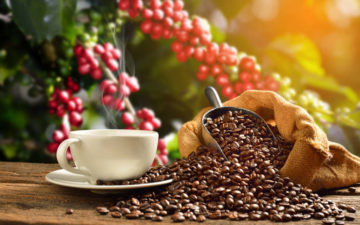 Café também serve de suplemento, redutor de gorduras e celulite