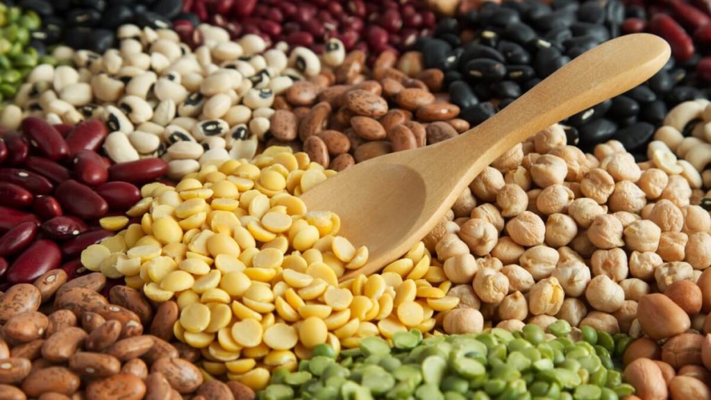 Saiba como obter proteína vegetal