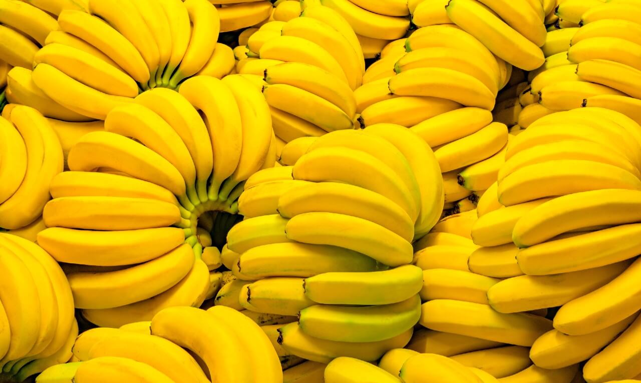 Estudo: uma banana por dia pode prevenir casos hereditários de câncer