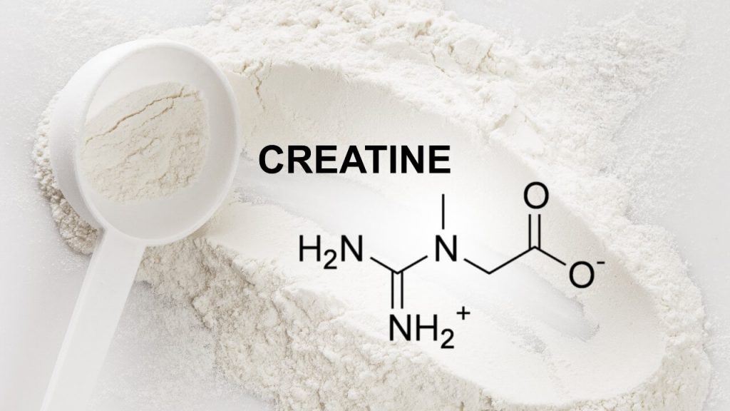 Creatina