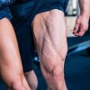 Princípios do treinamento e o melhor exercício para pernas