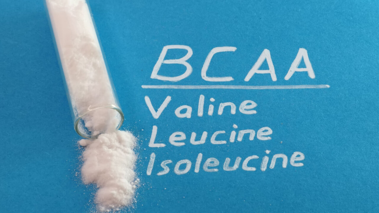 BCAA para estímulo do anabolismo muscular