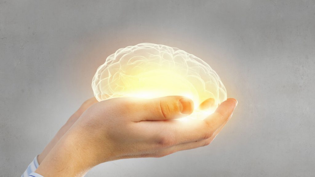Alimentos em prol da saúde cognitiva