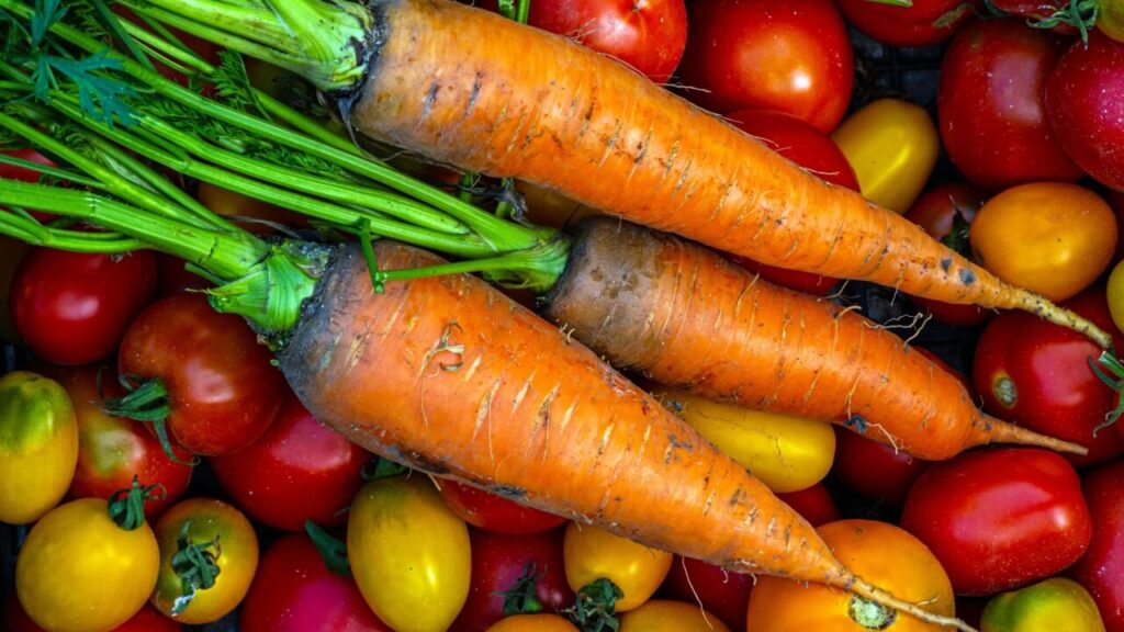 Cascas de frutas e vegetais para comer