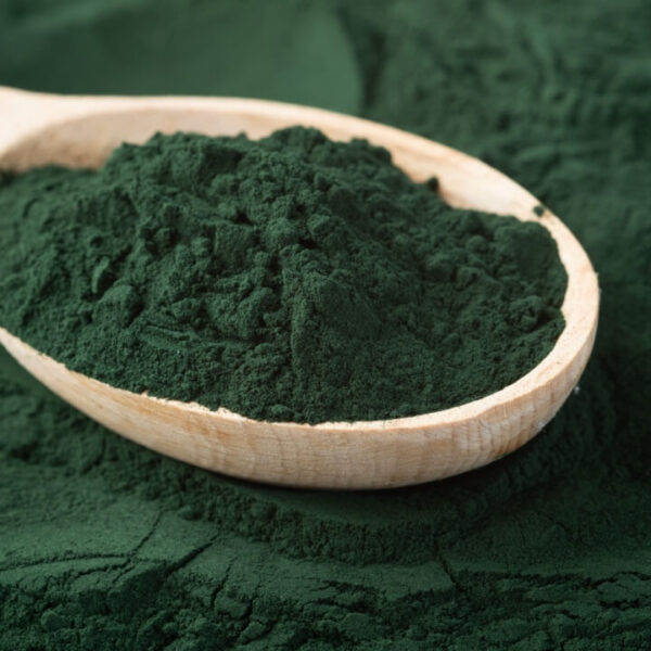 Principais benefícios da spirulina