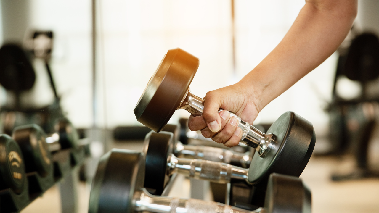 Mão segurando um haltere de academia, simbolizando treino de musculação e fortalecimento muscular.