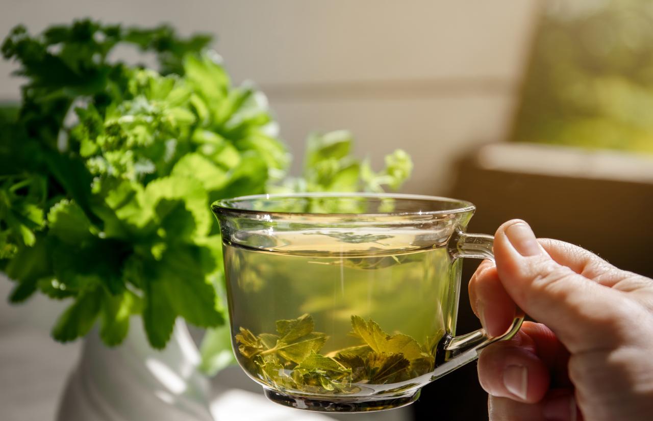 Chás naturais ajudam a reduzir o inchaço e a recuperar o corpo antes e depois da folia