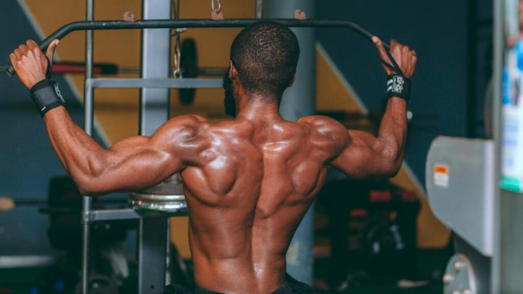 Massa muscular: como saber se você está no nível certo