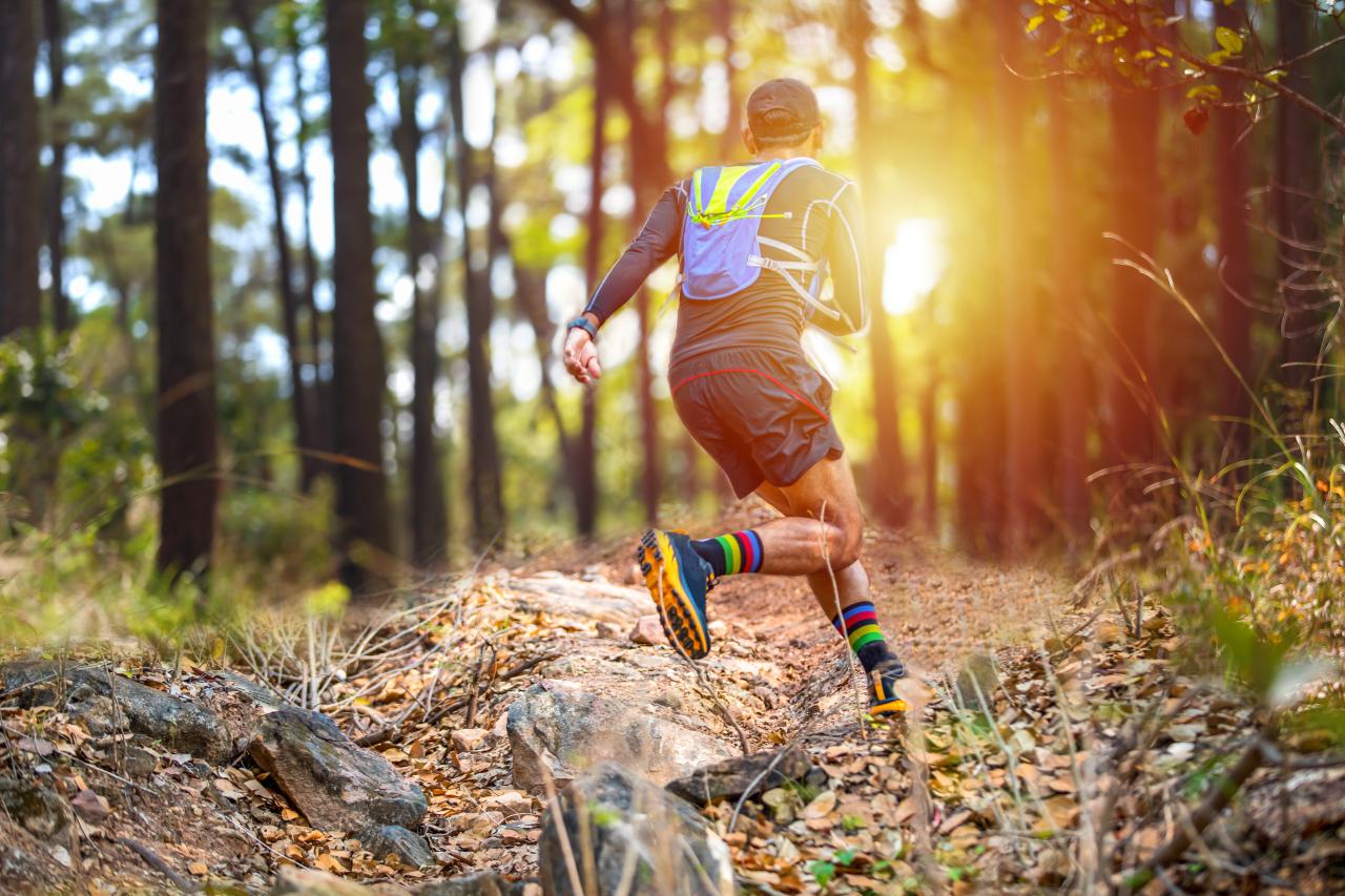 Novidades do Strava prometem facilitar a descoberta de rotas, a navegação e o compartilhamento de atividades ao ar livre