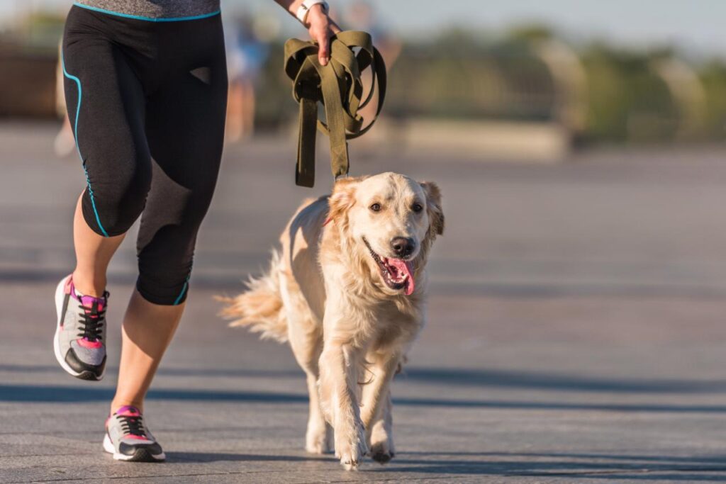Pessoa praticando corrida ao lado de seu cachorro