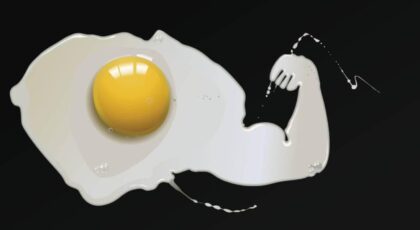 O ovo é uma excelente fonte de proteínas e pode ser incluído tanto no pré quanto no pós-treino