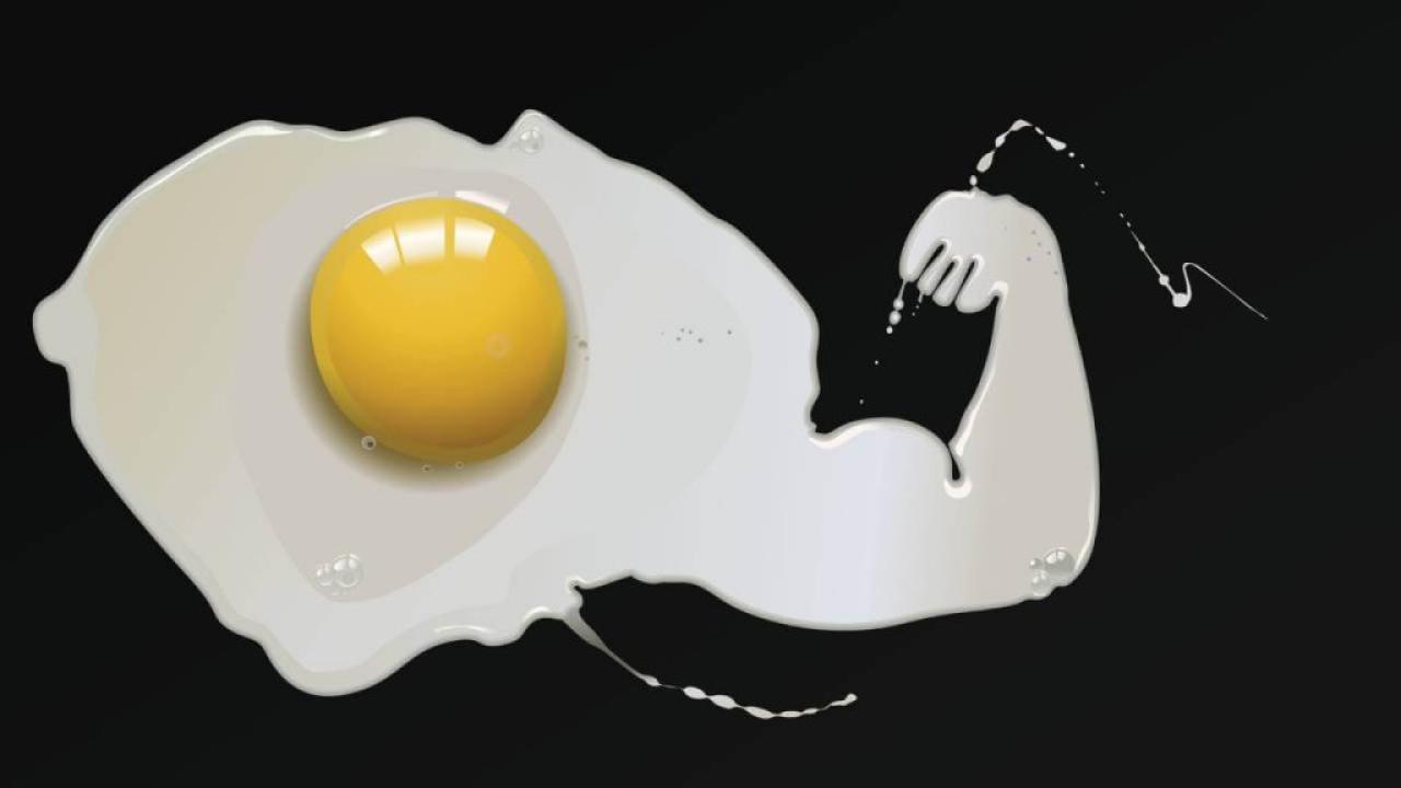 O ovo é uma excelente fonte de proteínas e pode ser incluído tanto no pré quanto no pós-treino