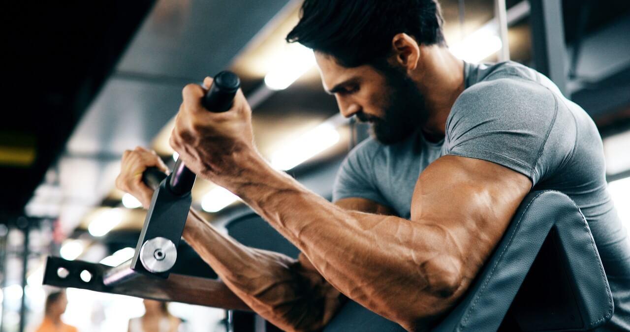 Como melhorar o treino de biceps/ Foto: Shutterstock 